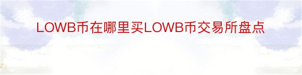 LOWB币在哪里买LOWB币交易所盘点