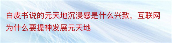 白皮书说的元天地沉浸感是什么兴致，互联网为什么要提神发展元天地