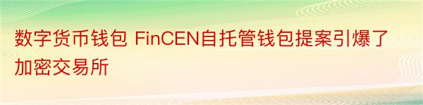 数字货币钱包 FinCEN自托管钱包提案引爆了加密交易所