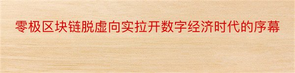 零极区块链脱虚向实拉开数字经济时代的序幕