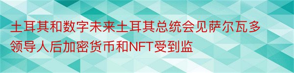 土耳其和数字未来土耳其总统会见萨尔瓦多领导人后加密货币和NFT受到监