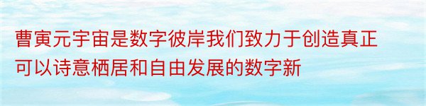 曹寅元宇宙是数字彼岸我们致力于创造真正可以诗意栖居和自由发展的数字新